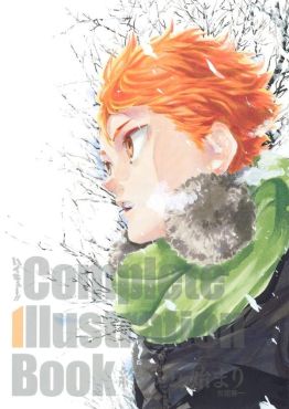 (AB) Haikyu!! Complete Illustration book Owari to Hajimari